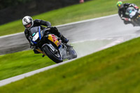 PJ-Motorsport-Photography-2020;anglesey;brands-hatch;cadwell-park;croft;donington-park;enduro-digital-images;event-digital-images;eventdigitalimages;mallory;no-limits;oulton-park;peter-wileman-photography;racing-digital-images;silverstone;snetterton;trackday-digital-images;trackday-photos;vmcc-banbury-run;welsh-2-day-enduro